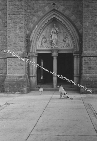 DOG OUTSIDE CHURCH DOOR